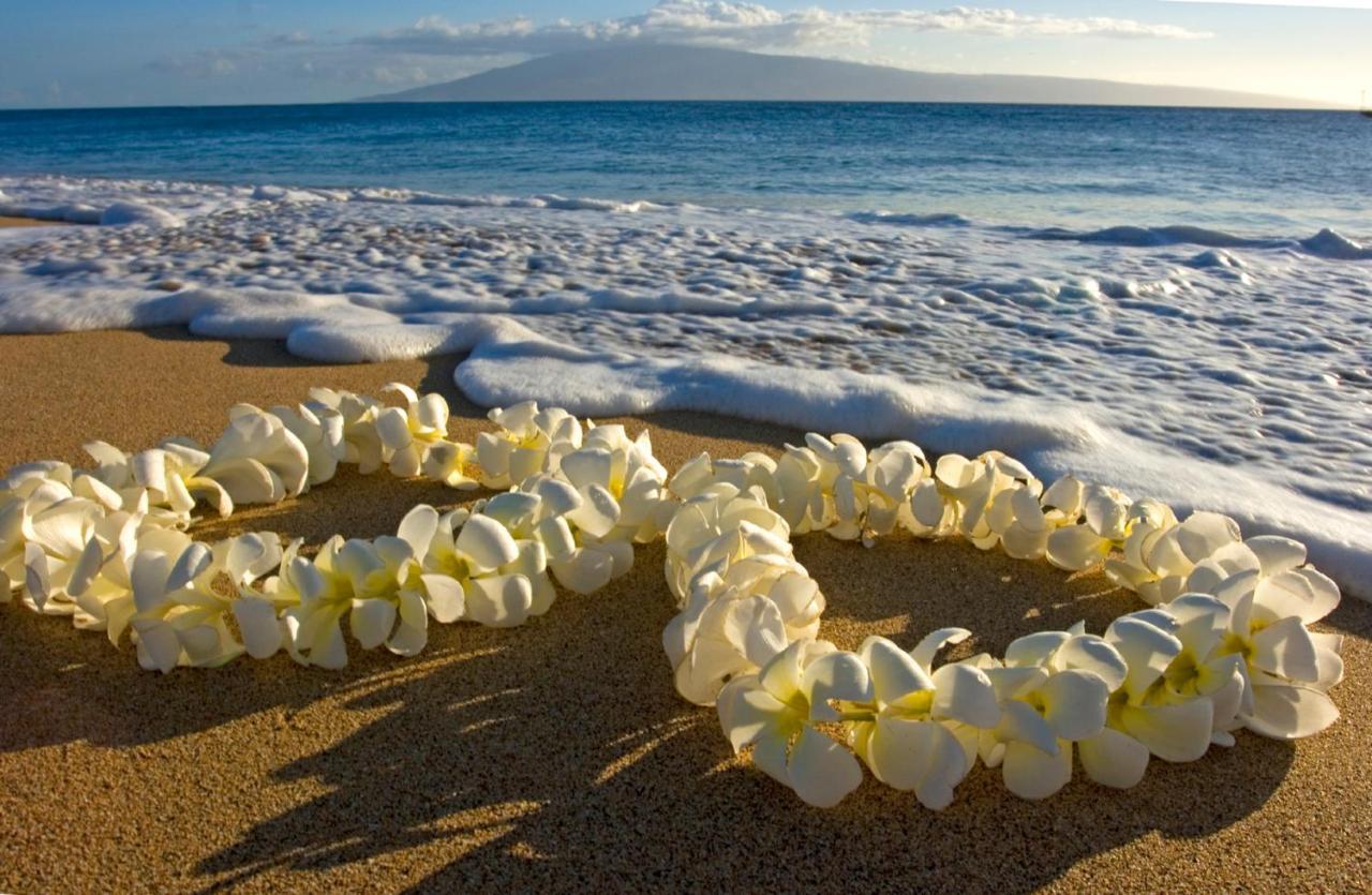 Aloha Vibes Await! Stylish Condo At Aloha Surf - Mountain And City Views Honolulu Exterior foto